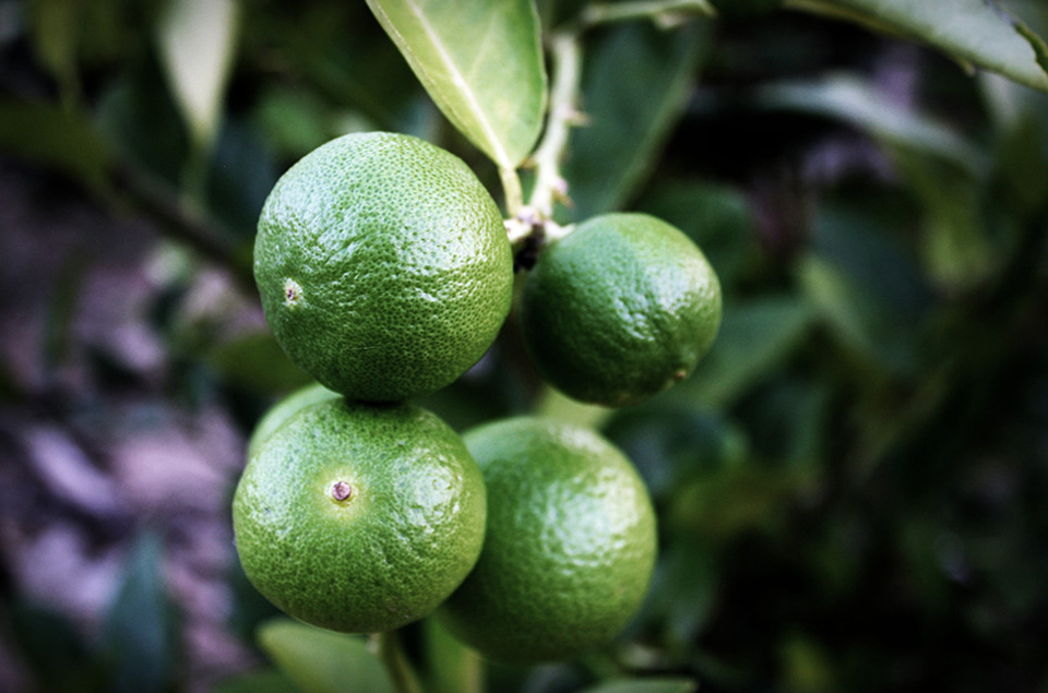 Ư��7(�й�)���޹�˾����