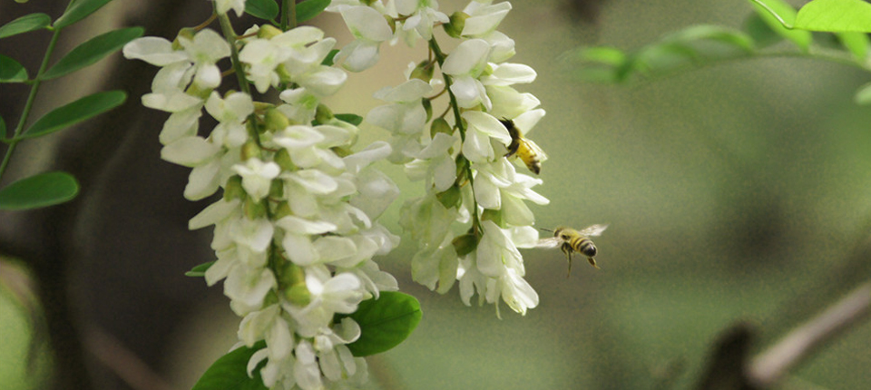 Ư��7(�й�)���޹�˾����