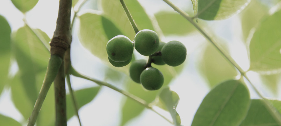 Ư��7(�й�)���޹�˾����