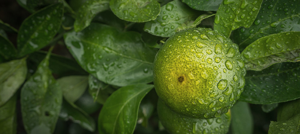 Ư��7(�й�)���޹�˾����